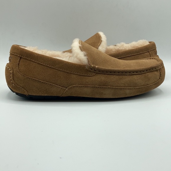 UGG Shoes Ugg Mens Ascot Chestnut Wool Suede Slippers Poshmark